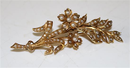 15ct gold and seed pearl brooch